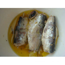 Sardines in Tin with High Quality